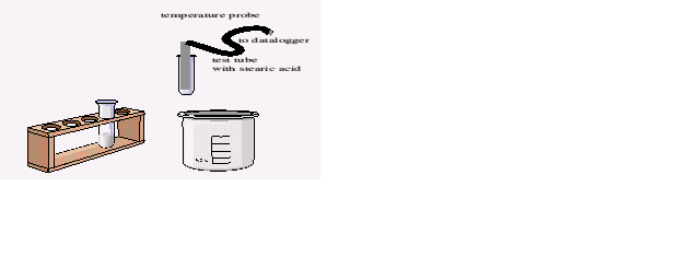 cool.gif (4045 bytes)