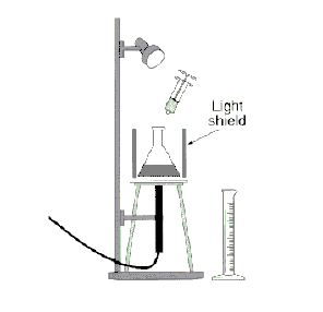 react.gif (4749 bytes)
