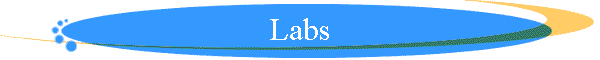 Labs
