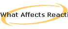 What Affects Reaction Rate